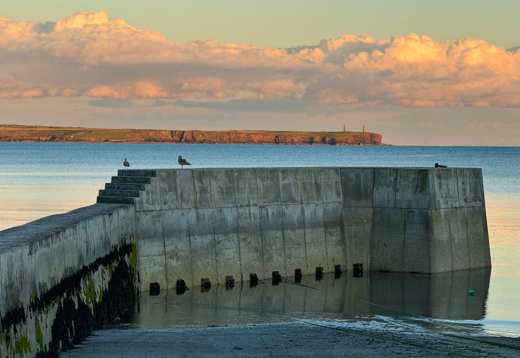 Portfolio is such a big&nbsp;word